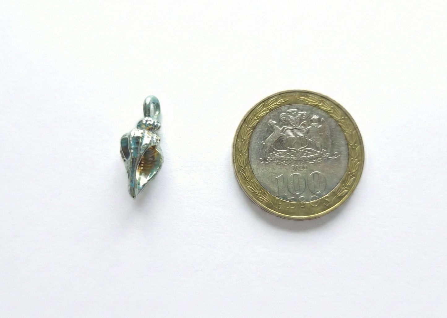 Dije Concha Marina 10x20mm