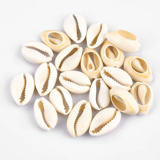 Conchitas de Mar Perforadas - 100gr