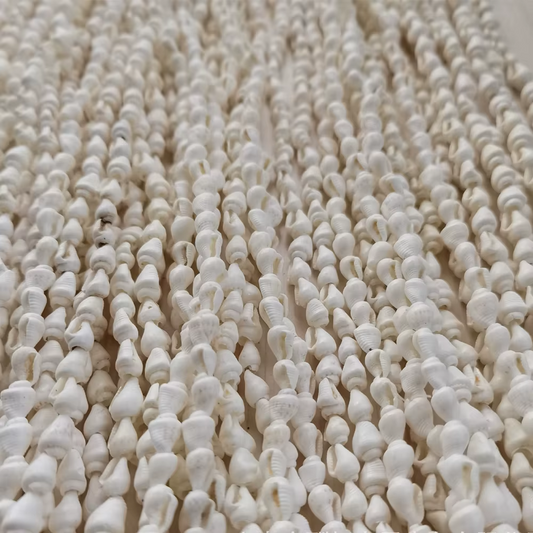 Tira Conchitas de Mar Naturales - 12 Tiras