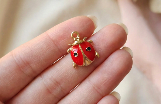 Dije Chinita 14x17mm