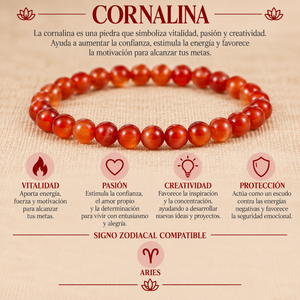 Pulsera Cornalina 4mm Elasticada