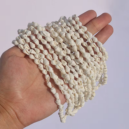 Tira Conchitas de Mar Naturales - 12 Tiras