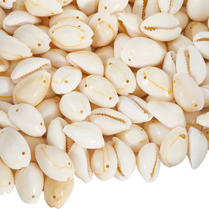 Conchitas de Mar - 100gr