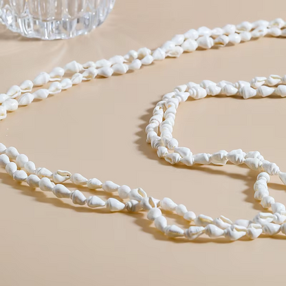 Tira Conchitas de Mar Naturales